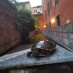 La Dolce Trevi